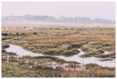08 Blakeney and Cley  The Blakeney Marshes