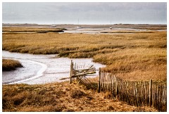 16 Blakeney and Cley  The Blakeney Marshes