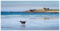 Guernsey 011  Vazon Bay
