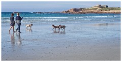 Guernsey 012  Vazon Bay