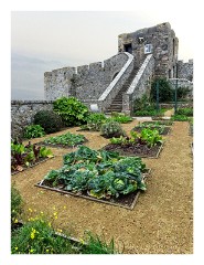Guernsey 070  Castle Gardens