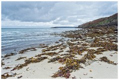 Guernsey 112  Shell Bech on Herm