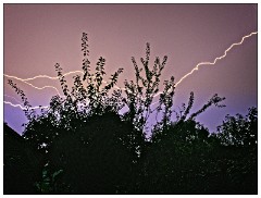 38 September Garden  Thunder and Lightening from my Lounge Window