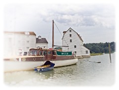 Woodbridge August