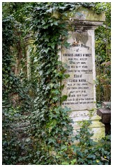 07 London in April  Abney Park Cemetery -                                                                 Abney Park is one of the ‘magnificent seven’ garden cemeteries of London, a woodland memorial park and Local Nature Reserve. This place is situated in the middle of a busy road. When you step in you  instantly feel that you have walked into a different world. You will see graves of famous people or a loved one is sitting next to his/her lost beloved one.