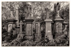 12 London in April  Abney Park Cemetery