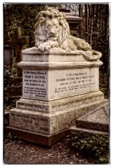 13 London in April  Abney Park Cemetery