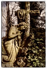 16 London in April  Abney Park Cemetery