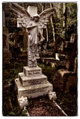 17 London in April  Abney Park Cemetery