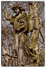 18 London in April  Abney Park Cemetery