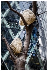 33 London in April  The Gherkin in the City                   a series of rocks in a bronze deciduous tree, otherwise known as Idee de Pietra - 1372 KG Di Luce by Guiseppe Penone
