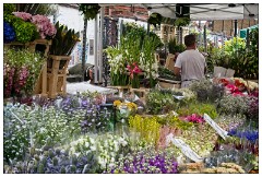 04 London  Columbia Road Sunday Flower Market