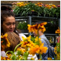 08 London  Columbia Road Sunday Flower Market