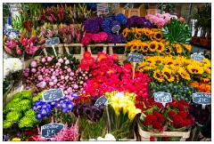 10 London  Columbia Road Sunday Flower Market