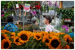 20 London  Columbia Road Sunday Flower Market