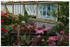 47 Norfolk June  The Green House, Felbrigg Hall