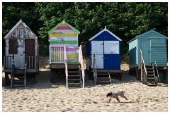 49 Norfolk June  The Beach Huts Wells-next-the-Sea