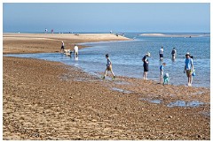 52 Norfolk June  The Beach, Wells-next-the-Sea