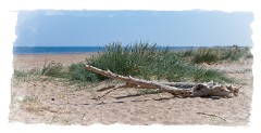Norfolk - June