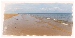 63 Norfolk June  Titchwell Marsh Beach