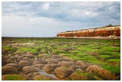 76 Norfolk June  Hunstanton Cliffs and Beach