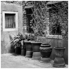 23 Venice  Plant Pots