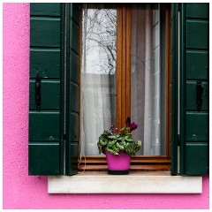 35 Burano  Window boxes