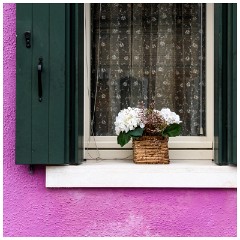 37 Burano  Window Boxes