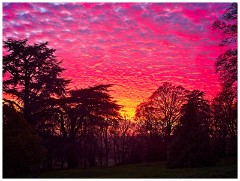 Waddesden Manor - November