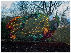 Waddesden Manor 12  Christmas lighting the Theme this year Animals