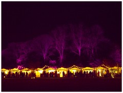 Waddesden Manor 15  The Christmas Fare