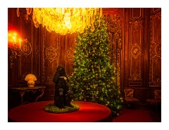 Waddesden Manor 22  The Christmas Lighting in the House with the Theme Animals