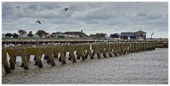 Walberswick Trip 13  Walberswick Groins in Different Light