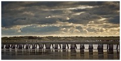 Walberswick Trip 14  Walberswick Groins in Different Light