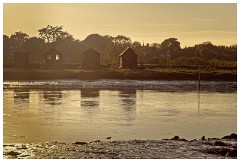 Walberswick Trip 16  Walberswick