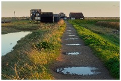 Walberswick Trip 20  Walberswick
