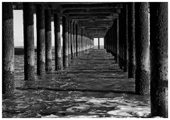 Walberswick Trip 25  Under the Pier