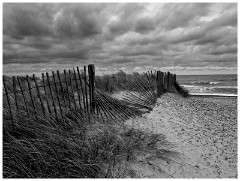 Walberswick - November