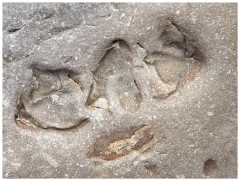 The Dingle Penisula 17  Rocks on Clogher Beach