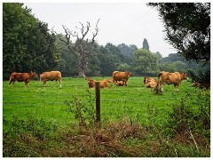 Thornham Walks 01  Local View