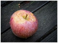 Thornham Walks 18  Walled Garden Apple
