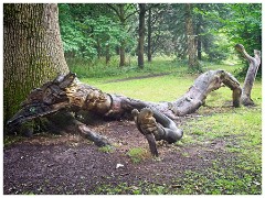 Thornham Walks 20  Carved Tree trunk
