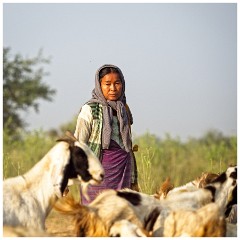 Bagan 35  Woman with her Goats