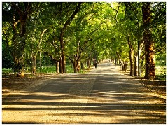 Bagan 61  Lovers Lane