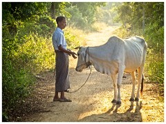 Bagan 62  Man and his Beast