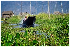 Inle Lake 60  The Tributaries Overgrown with Vegetation