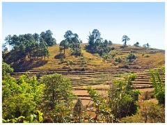 Loikaw  34  View of the Farming land Terraced between the Village and Market