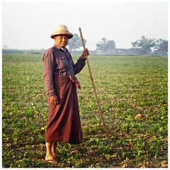 Mandalay 31  Field Worker on the Banks of the Lake