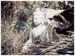 Mandalay 45  Head Lying at the Roadside