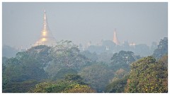 Yangon  18  View of Shwedagon Pagoda from the Hotel Chatrium